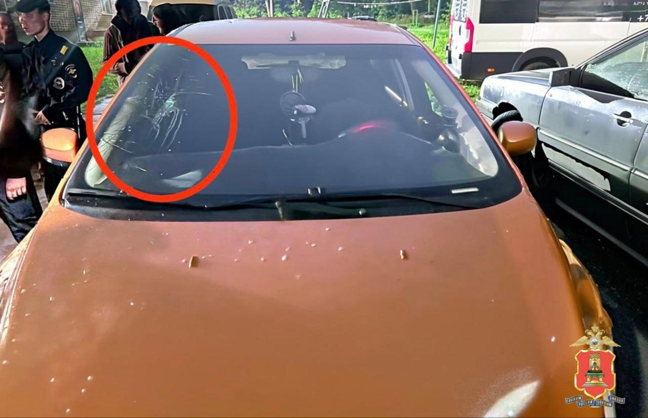 В Нелидово женщина из мести повредила чужую машину - новости Афанасий