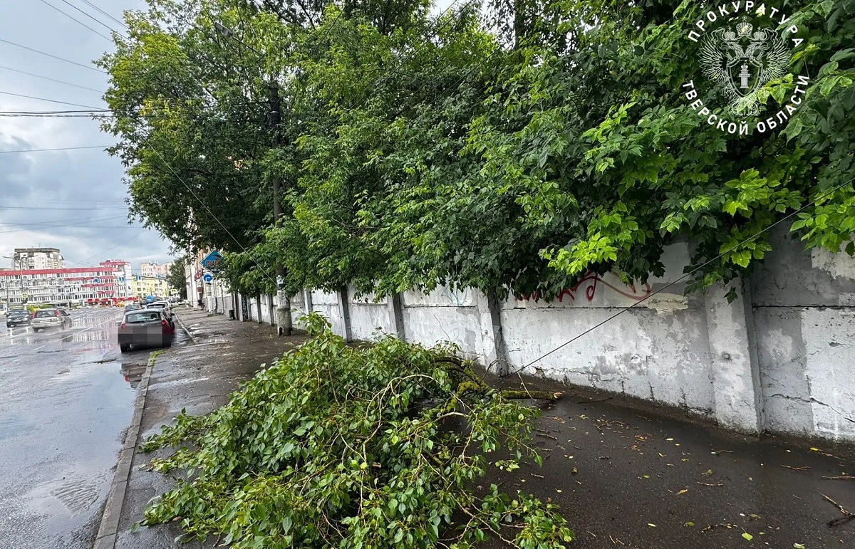 Прокуратура взяла на контроль устранение последствий непогоды в Тверской области  - новости Афанасий