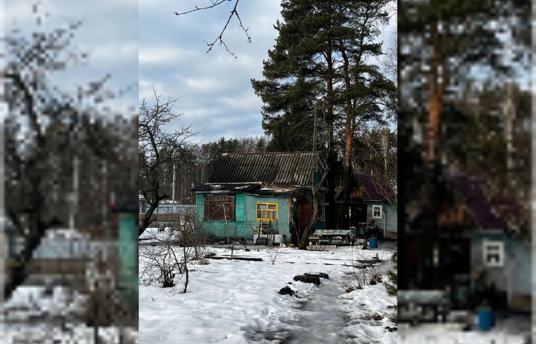 Тела мужчины и женщины с признаками криминальной смерти обнаружены в СНТ под Тверью 