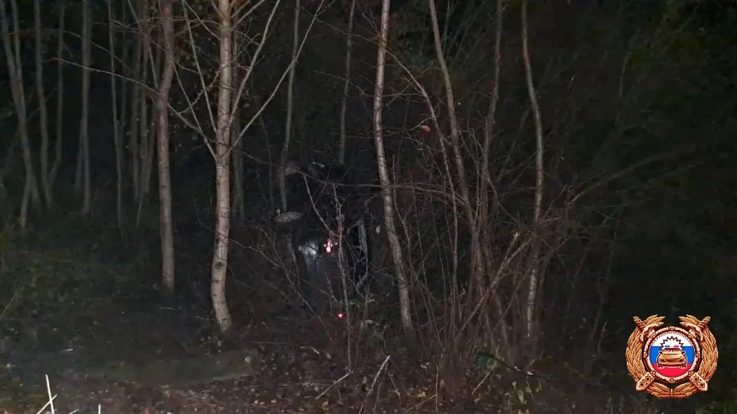 Автомобиль вылетел с дороги в Лесном 