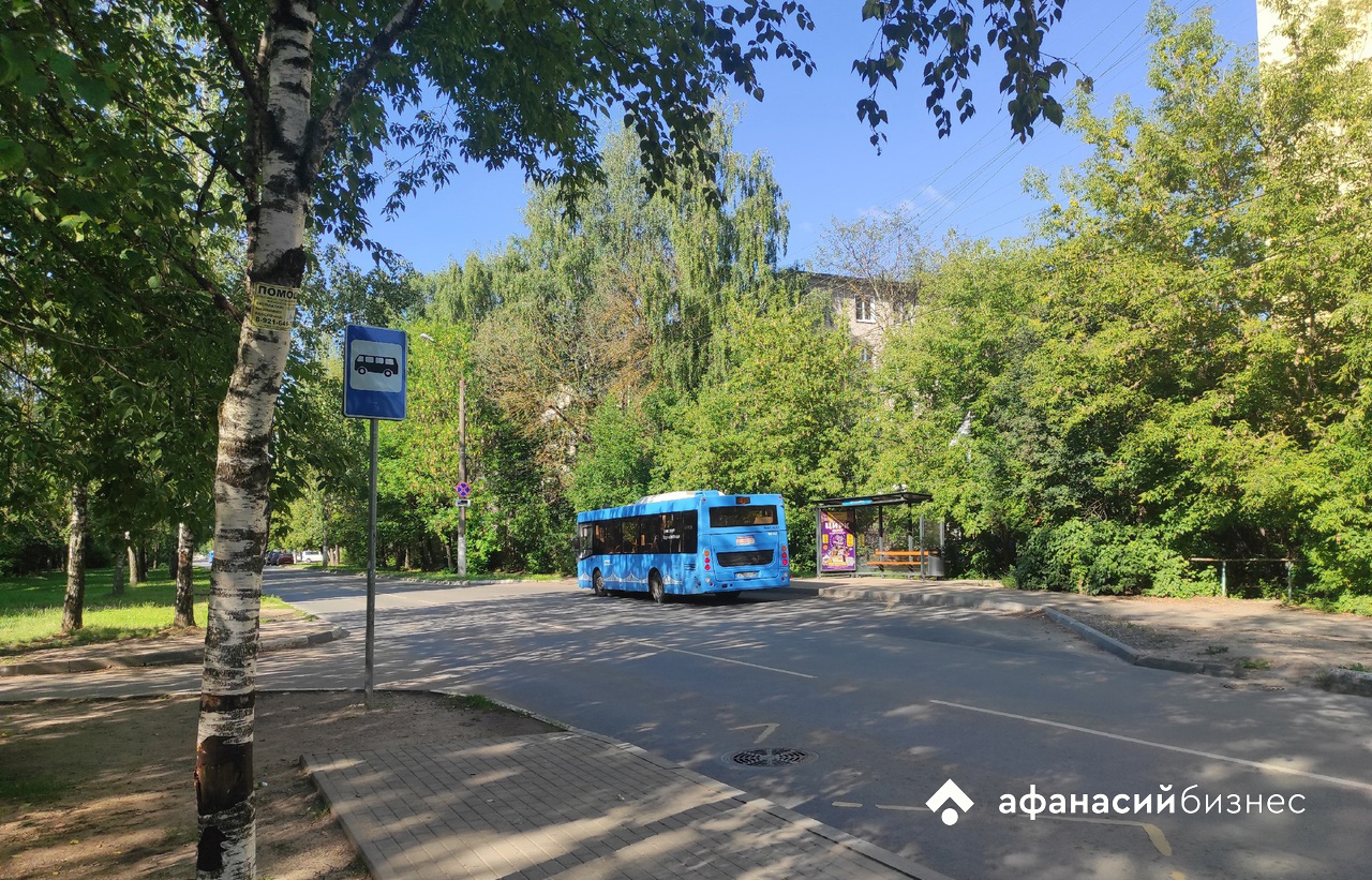 В Твери ищут подрядчика для благоустройства сквера на бульваре Гусева Фото: архив Afanasy.biz