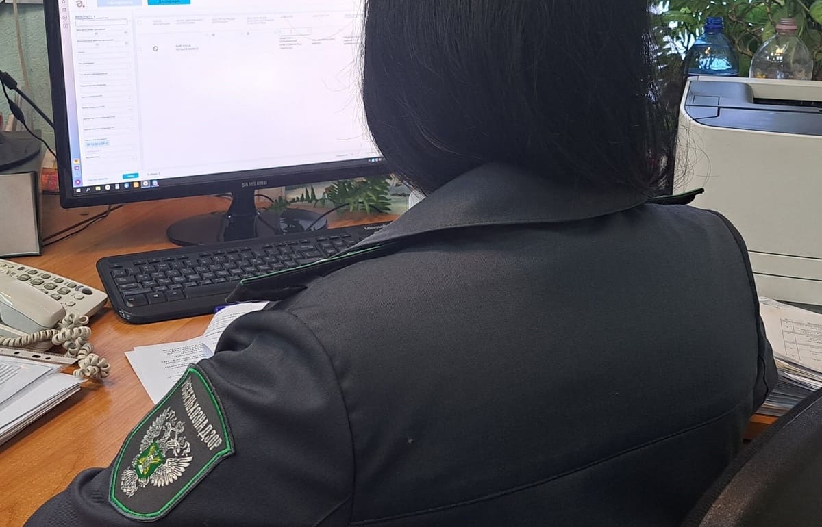 Владелец сельхозземли под Вышним Волочком хотел легально растить лес на 13 Га Фото Россельхознадзор