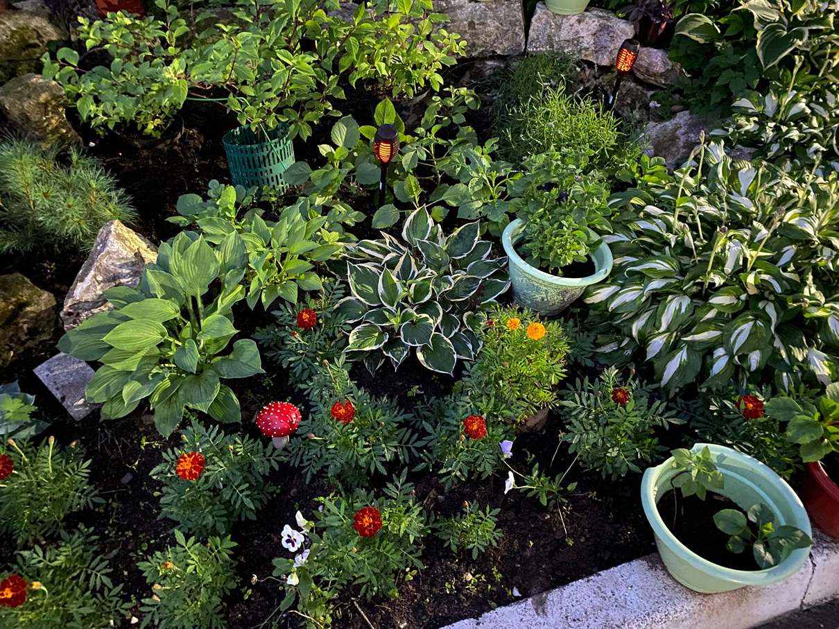 В Твери наградили победителей фестиваля цветников  - новости Афанасий