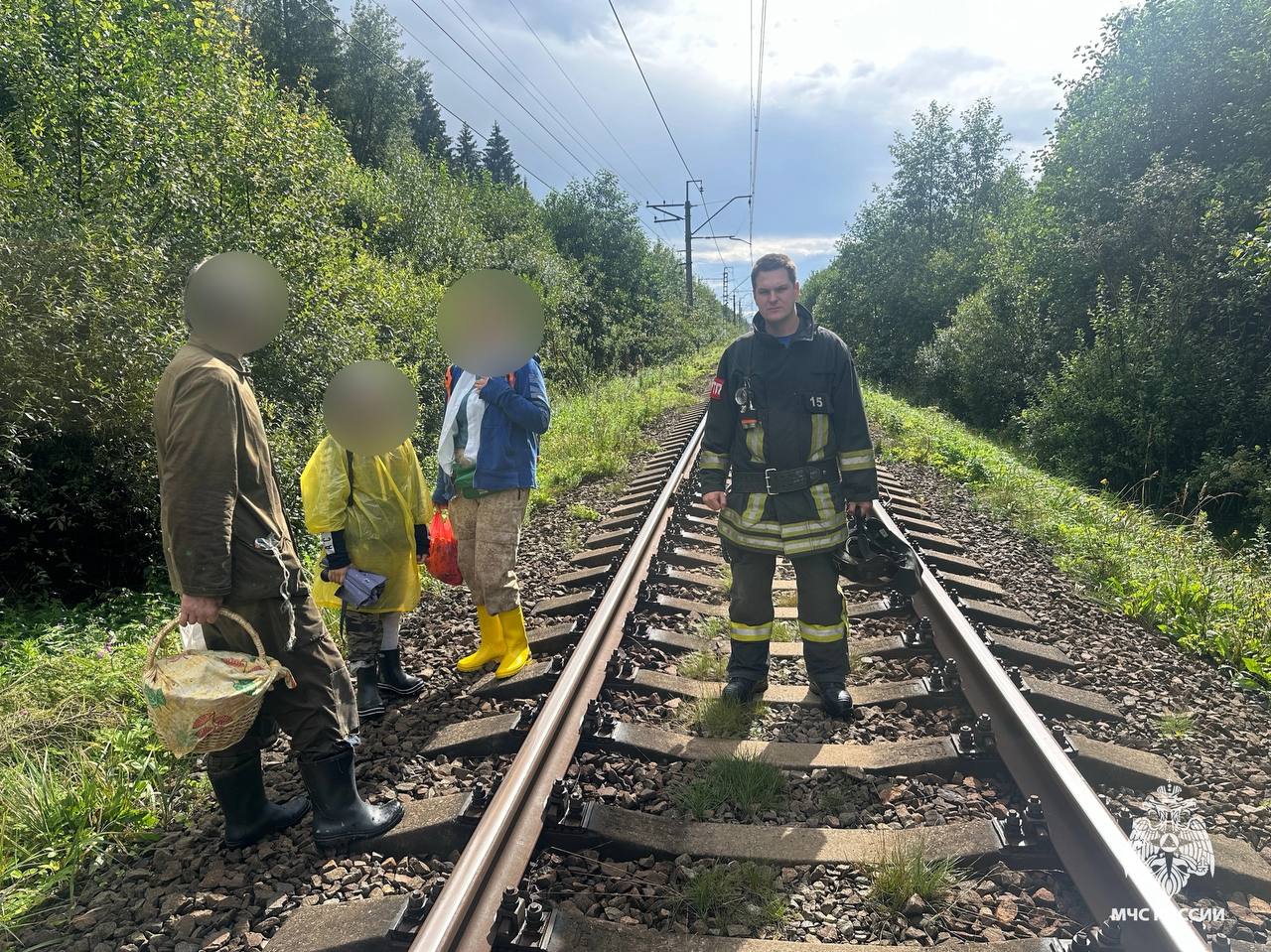 Жители Тверской области продолжают теряться в лесах 