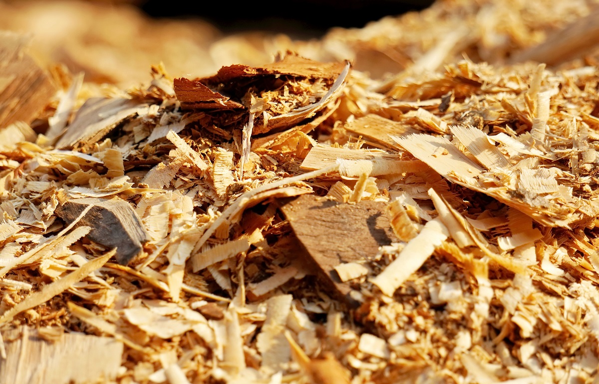 В Торопецком районе древесина складировалась прямо на проезжей части дороги Фото: ru.freepik.com