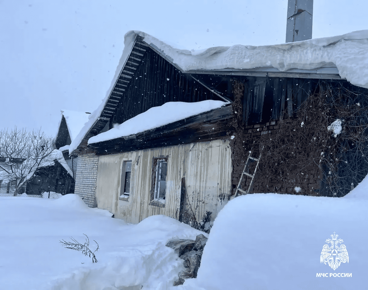 Во Ржеве Тверской области на пожаре спасли собаку и кота Фото, видео: МЧС