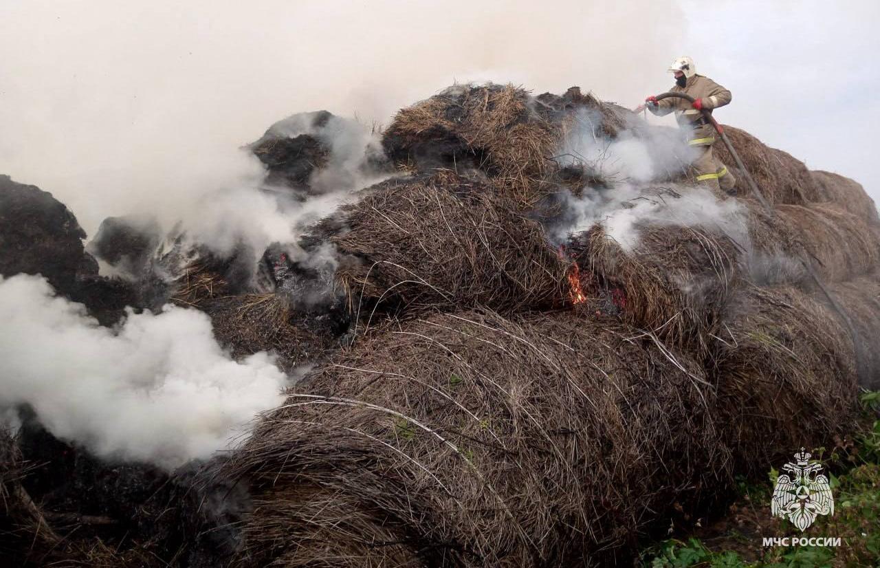 В Тверской области пожарные спасли запасы корма на зиму для буренок - новости Афанасий