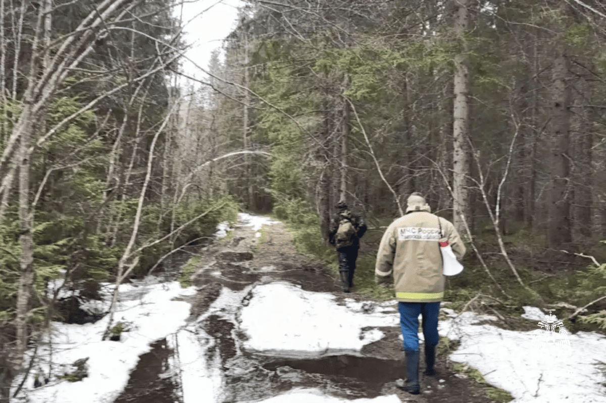 Под Жарками в Тверской области женщина пошла за клюквой и потерялась Фото: ГУ МЧС России по Тверской области
