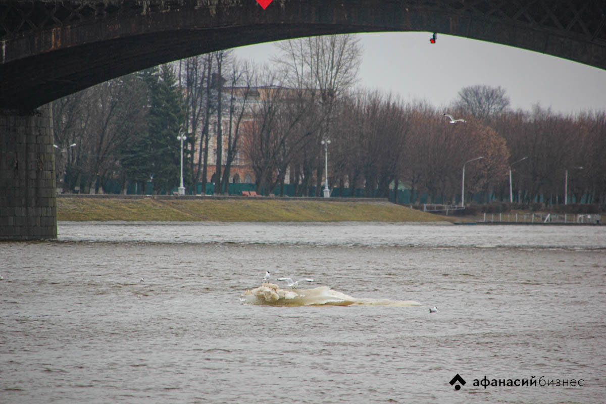 Прогноз погоды в Твери не обещает снега и мороза Фото: Afanasy.biz