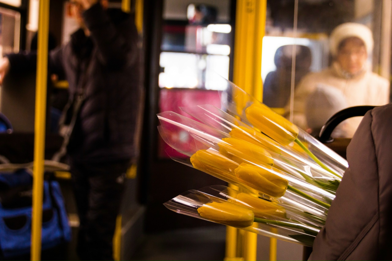 По прогнозу погоды в Твери весеннее потепление принесет антициклон Фото: архив редакции