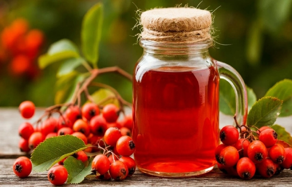 Анфиса Рябинница. Время собирать рябину