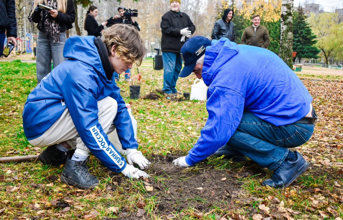 В Твери в парке на улице Королева высадили молодые дубы  - новости Афанасий