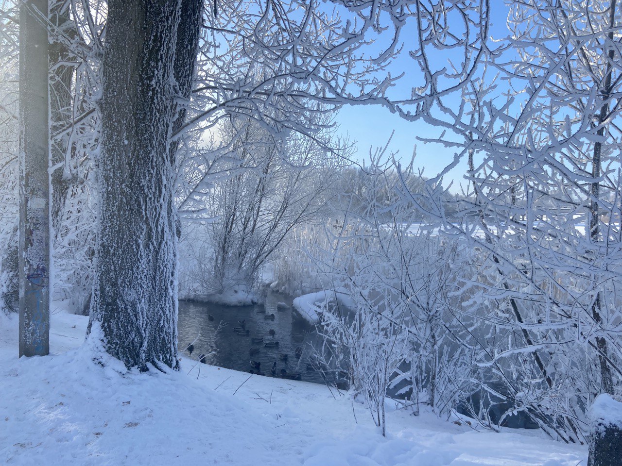 В Тверской области обнаружена пашня, выведенная из использования 
