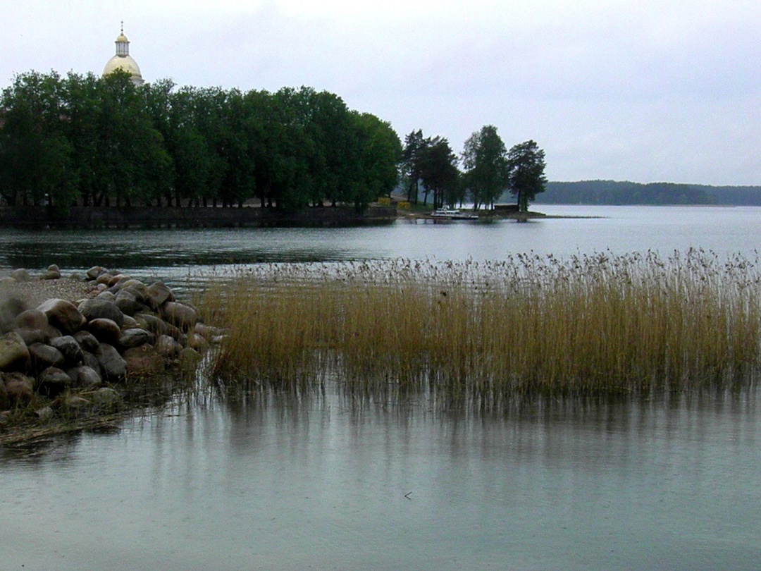 На расчистку Селигера потратят больше 100 млн рублей - новости Афанасий