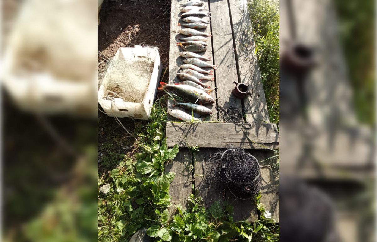 Браконьер из Осташкова выловил себе сетями уголовное наказание Фото: пресс-служба Тверского линейного отдела МВД России на транспорте