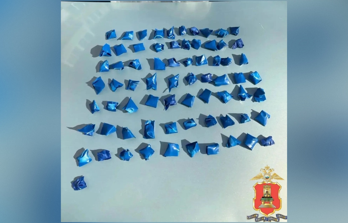 В Твери задержали мигранта-закладчика с крупной партией наркотика - новости Афанасий