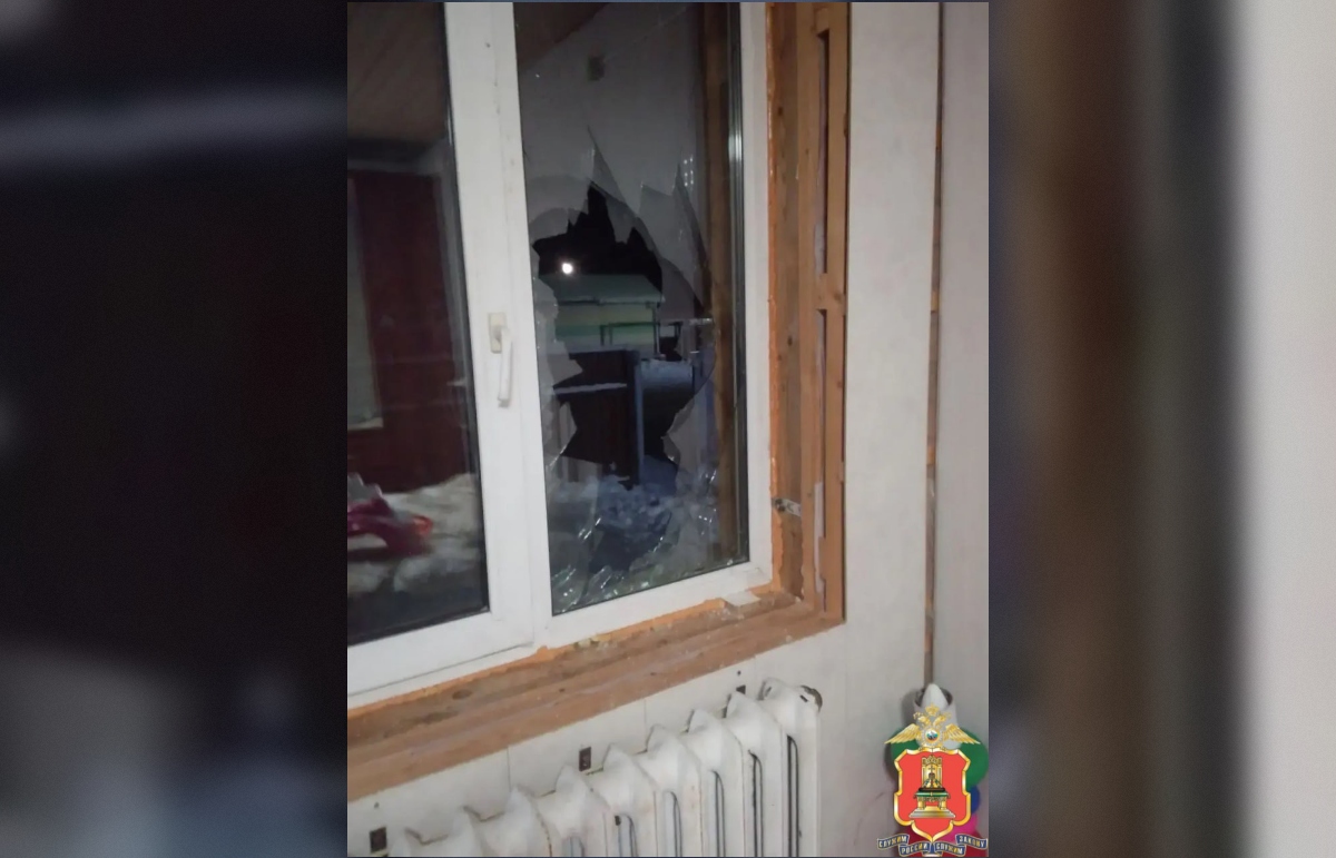 В Калязине вооруженный лопатой мужчина отомстил экс-сожительнице Фото: УМВД Тверской области