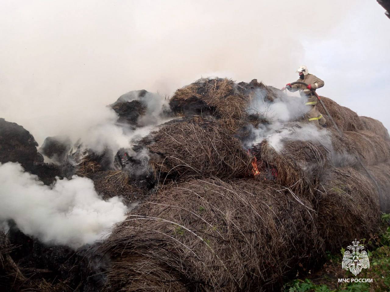 В Тверской области пожарные спасли запасы корма на зиму для буренок Фото: МЧС