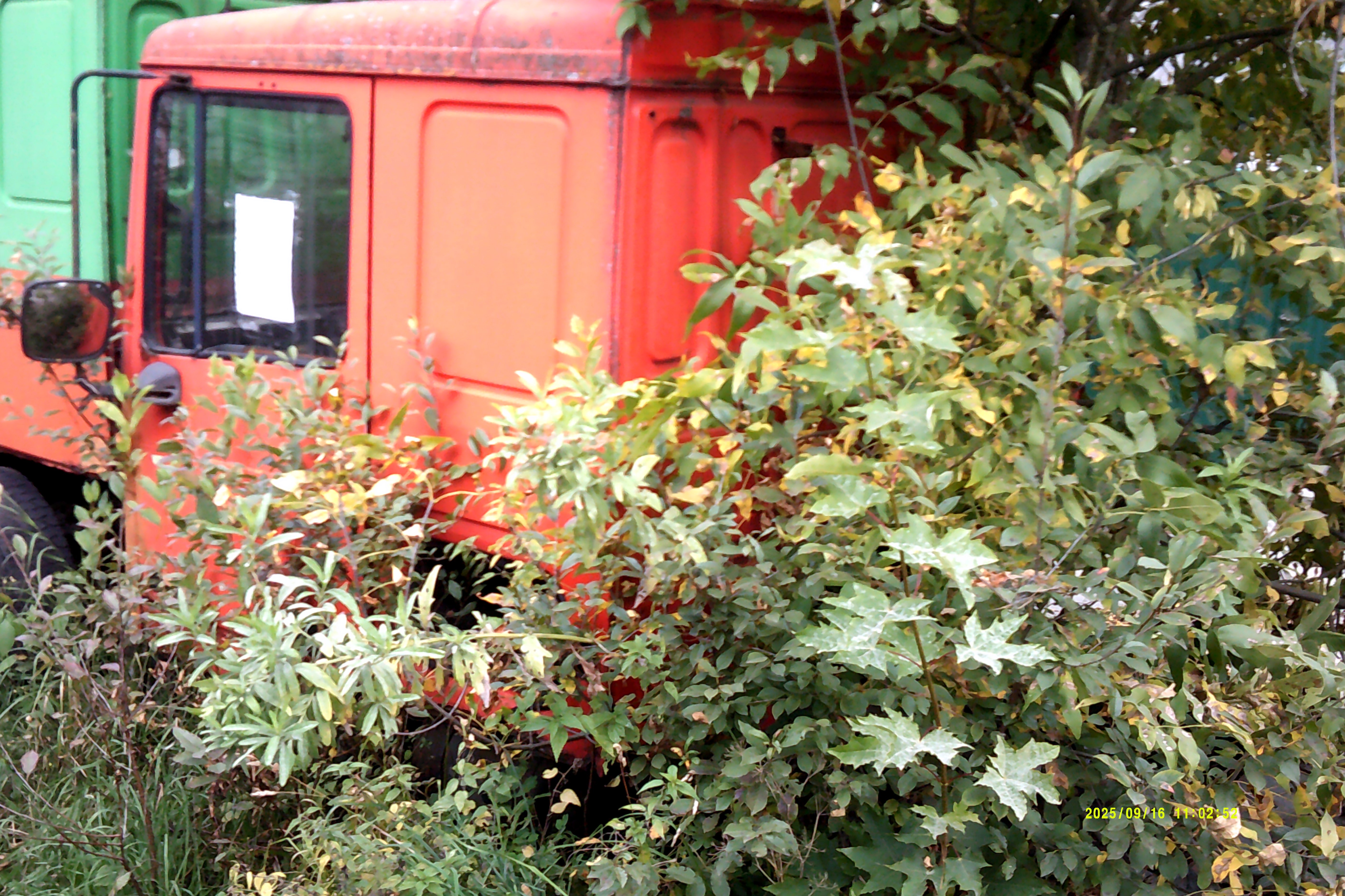 В Твери ищут хозяина брошенных грузовиков DAF - новости Афанасий