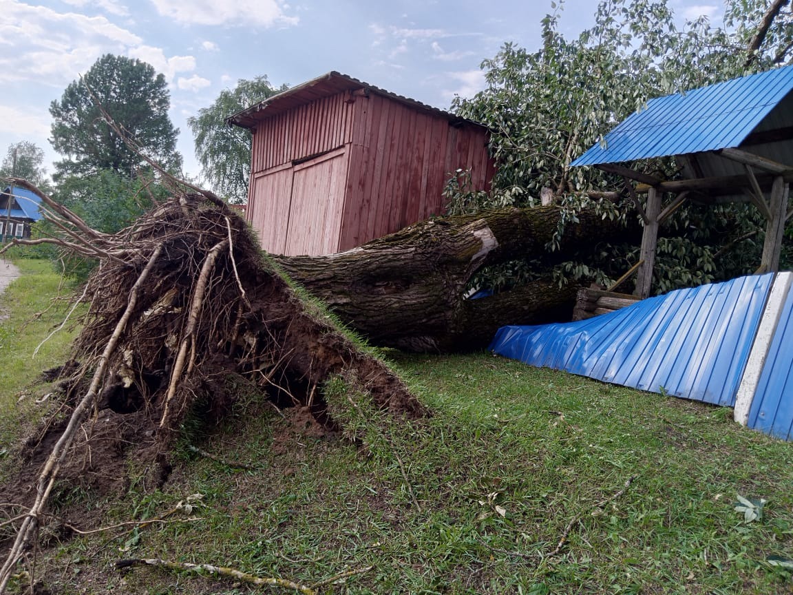В Тверской области восстановлено электроснабжение более 70 % пострадавших от непогоды потребителей Фото: "Россети Центр Тверьэнерго"