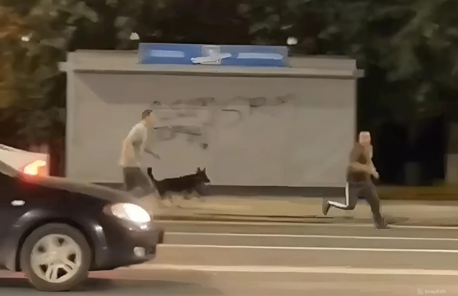 В Твери полиция нашла мужчину, бегавшего с ножом по Пролетарке за прохожими Видео: 
News69