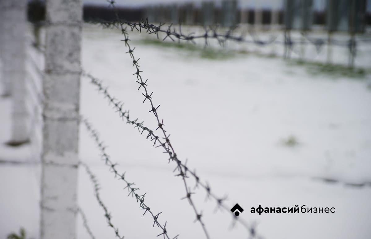 Четыре года колонии получил тверитянин, порезавший ножом ребенка во дворе - новости Афанасий