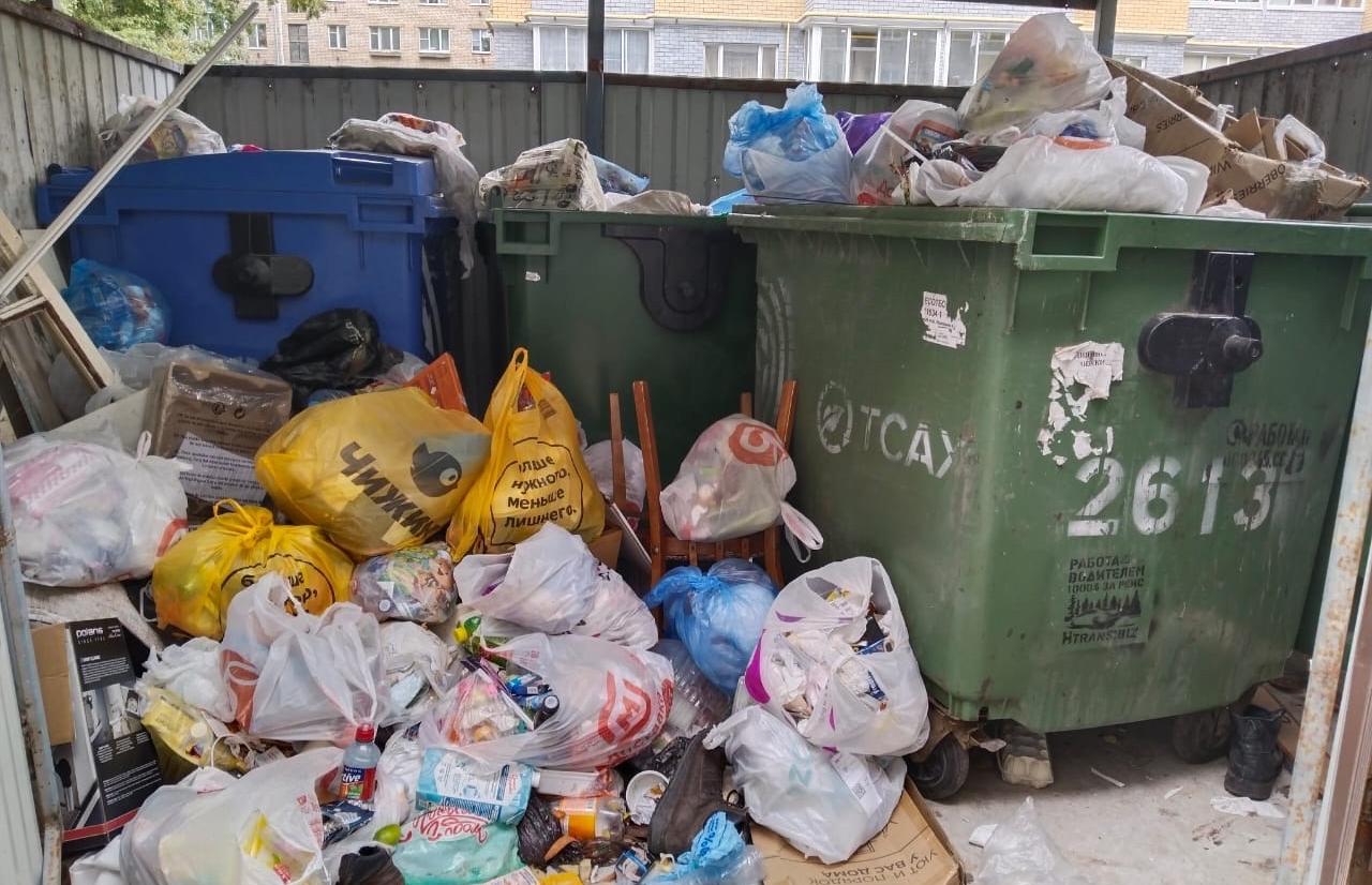 Соседская мусорка заблокировала проход жильцам дома в Твери - новости Афанасий