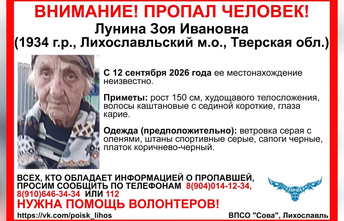 В Тверской области ищут 92-летнюю женщину Фото: ВПСО "Сова"