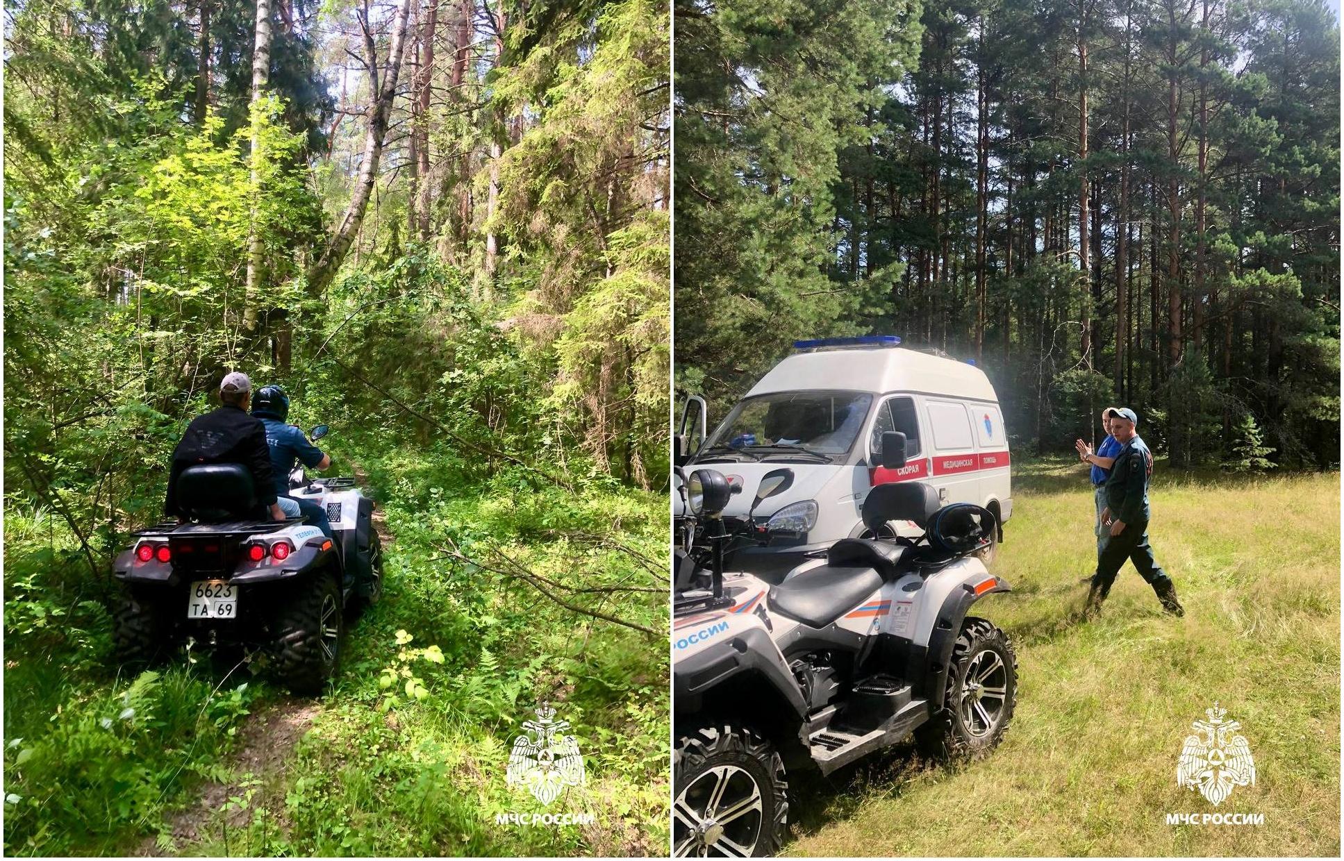 Спасатели МЧС вывезли из леса под Кимрами почувствовавшего себя плохо мужчину - новости Афанасий