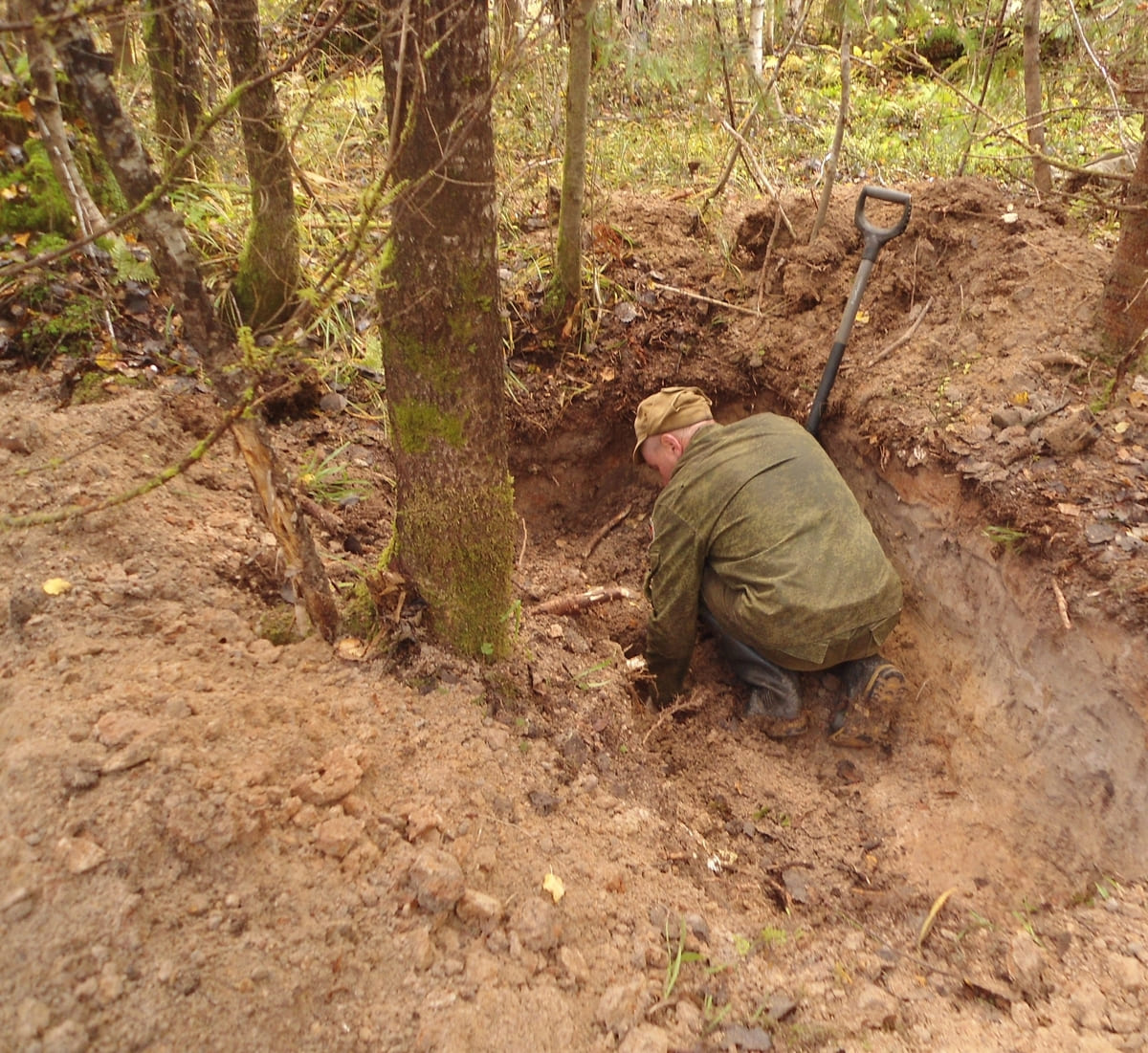 В Тверской области нашли останки неизвестного солдата, погибшего в годы ВОВ Фото: НИ ВПЦ Подвиг
