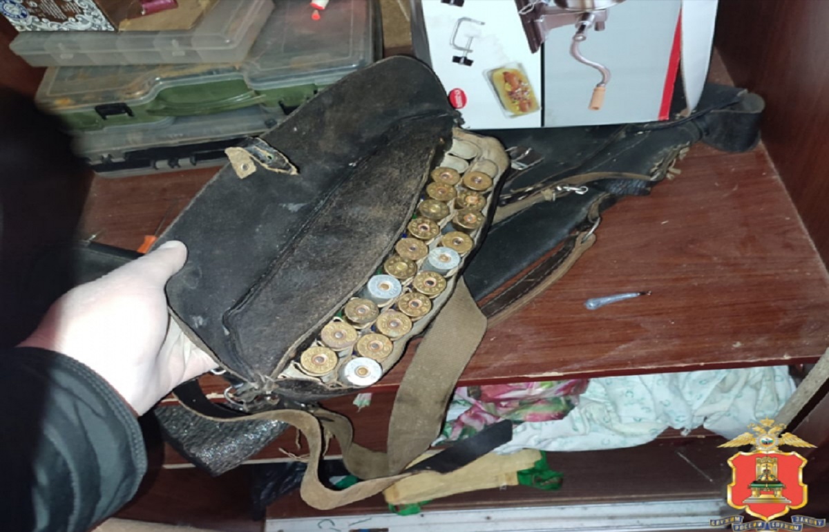 Под Старицей браконьеры подстрелили двух лосей - новости Афанасий