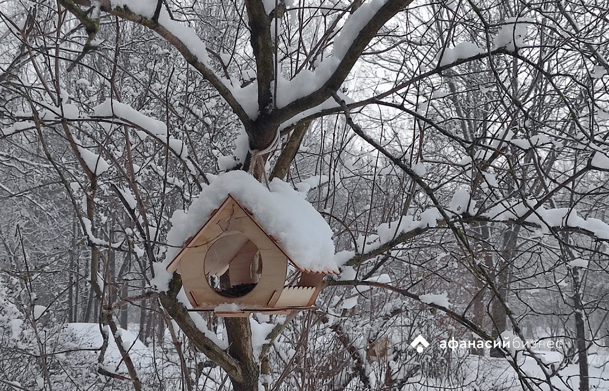 В Твери начинаются новогодние морозы Фото: Afanasy.biz