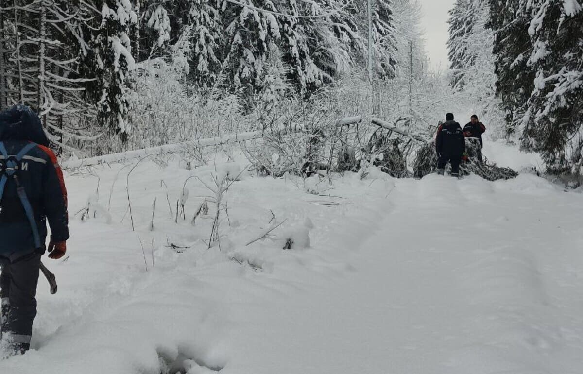 В Тверской области энергетики ликвидируют последствия циклона «Фрэнсис» Фото: пресс-служба «Россети Центр»