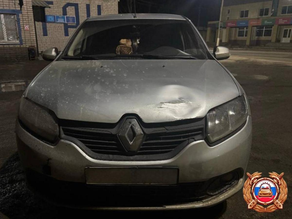 В Осташкове водитель сбил 15-летнюю девочку - новости Афанасий