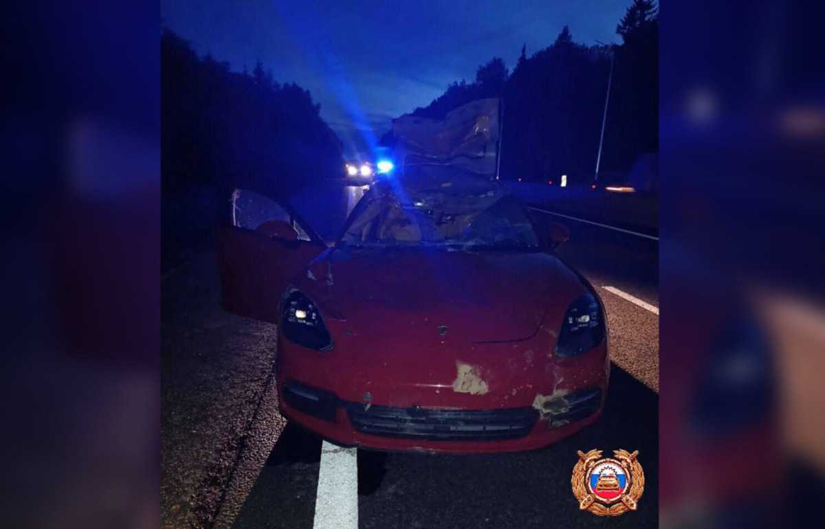 В ДТП с лосем на М9 в Тверской области пострадал пассажир легковушки - новости Афанасий