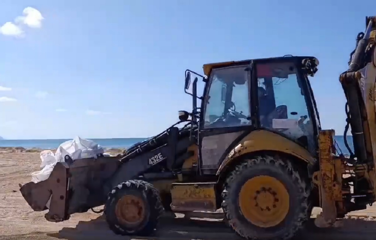 В Анапе спасали загрязненных нефтепродуктами птиц Фото: Оперативный штаб — Краснодарский край