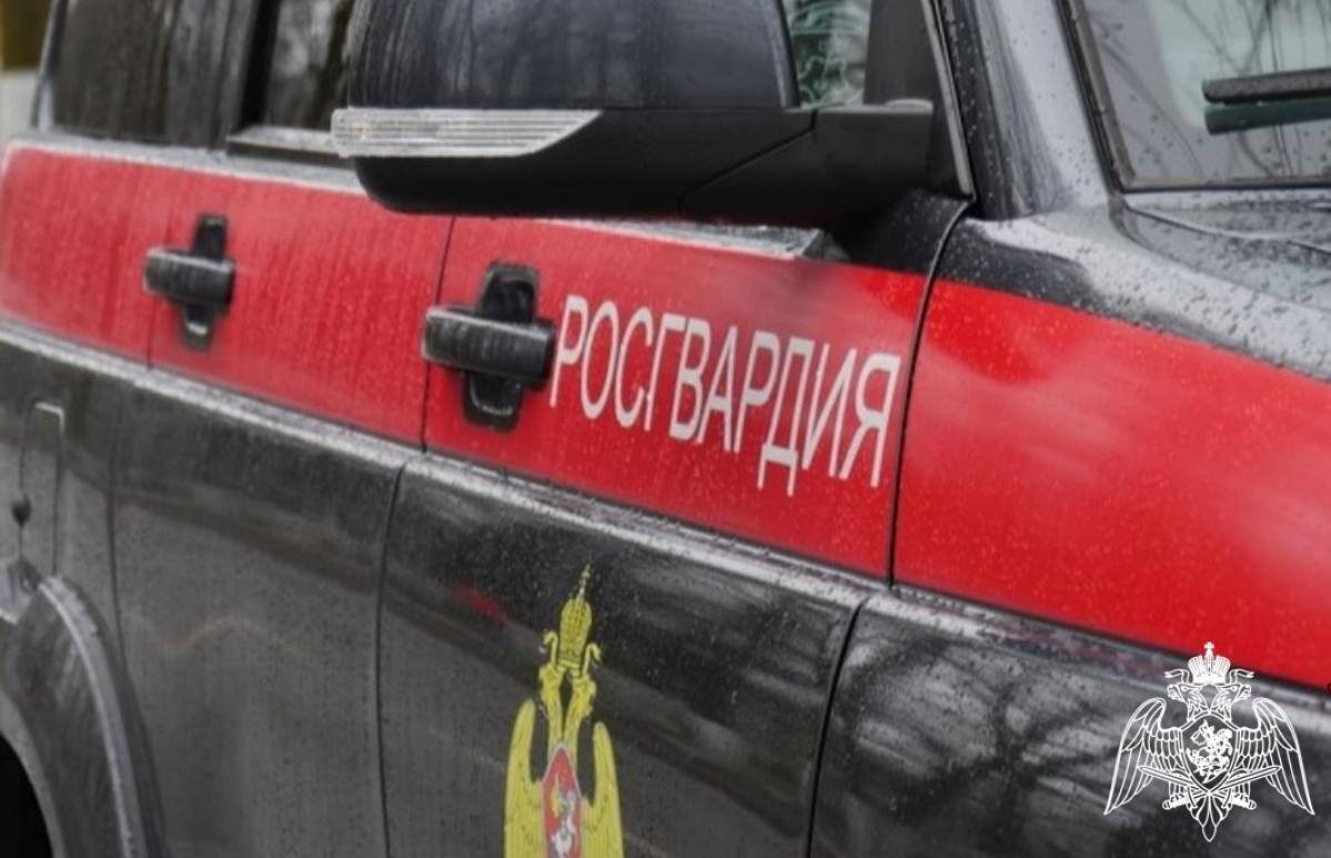 В Удомле рядом с лесом задержали наркозакладчиков - новости Афанасий