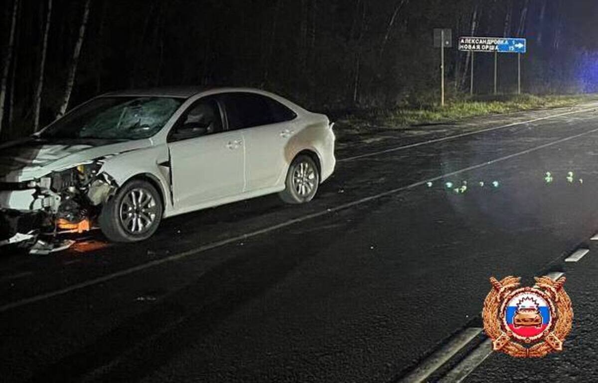 Под Тверью на трассе Р-132 погиб пешеход - новости Афанасий