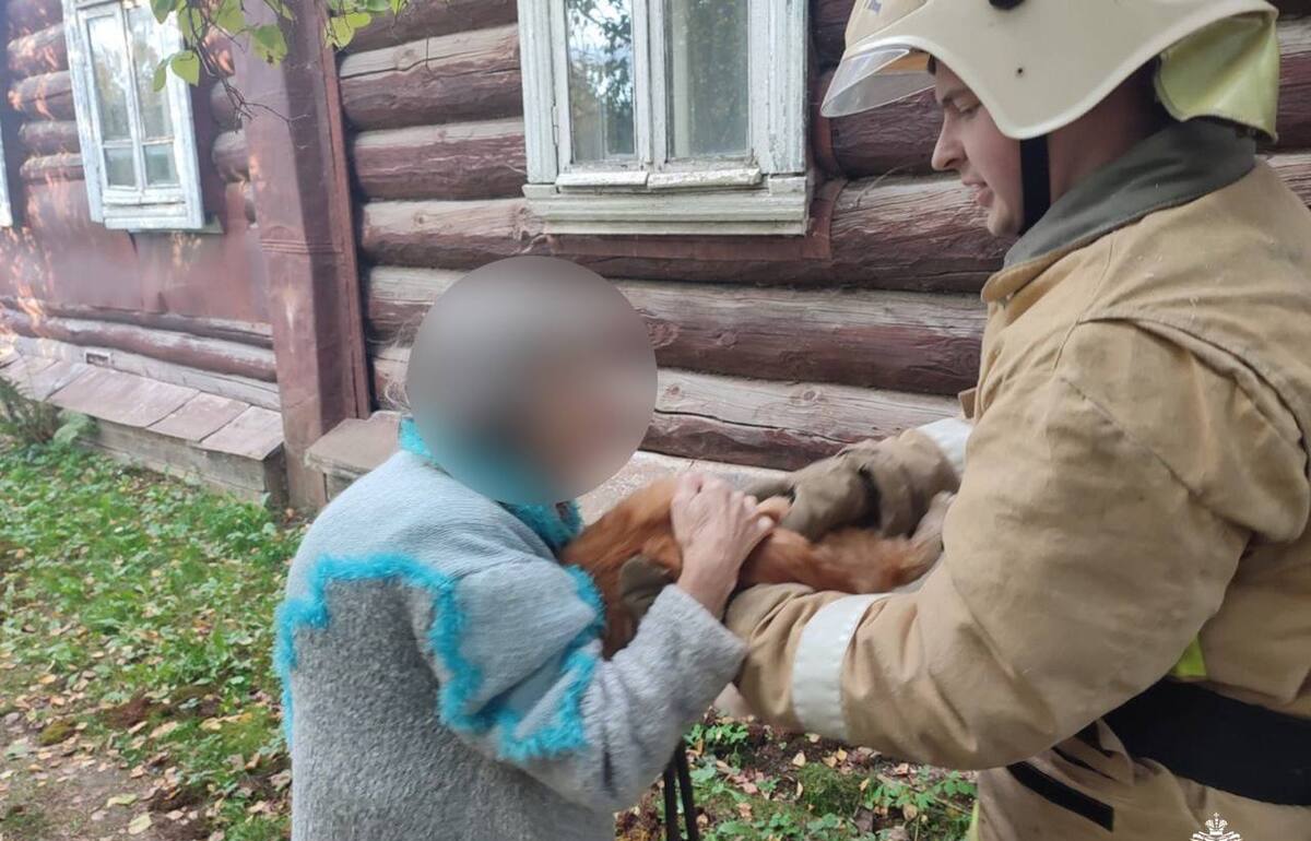Во Ржеве Тверской области для спасения кота пришлось вызвать МЧС Фото: ГУ МЧС России по Тверской области