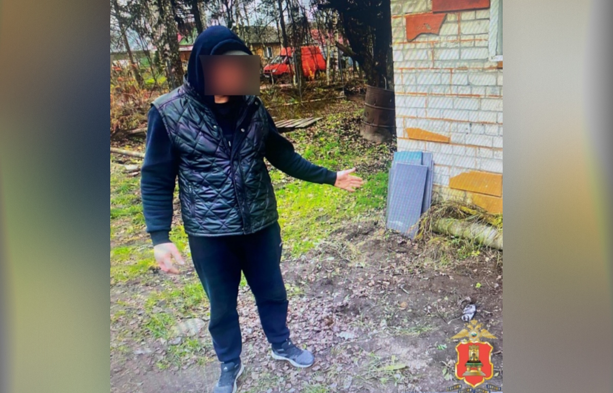 Алабай покусал мужчину в СНТ под Тверью - новости Афанасий