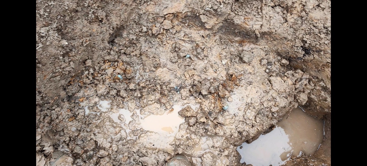 В Оленинском районе в запаханной траншее нашли останки бойца Красной Армии - новости Афанасий