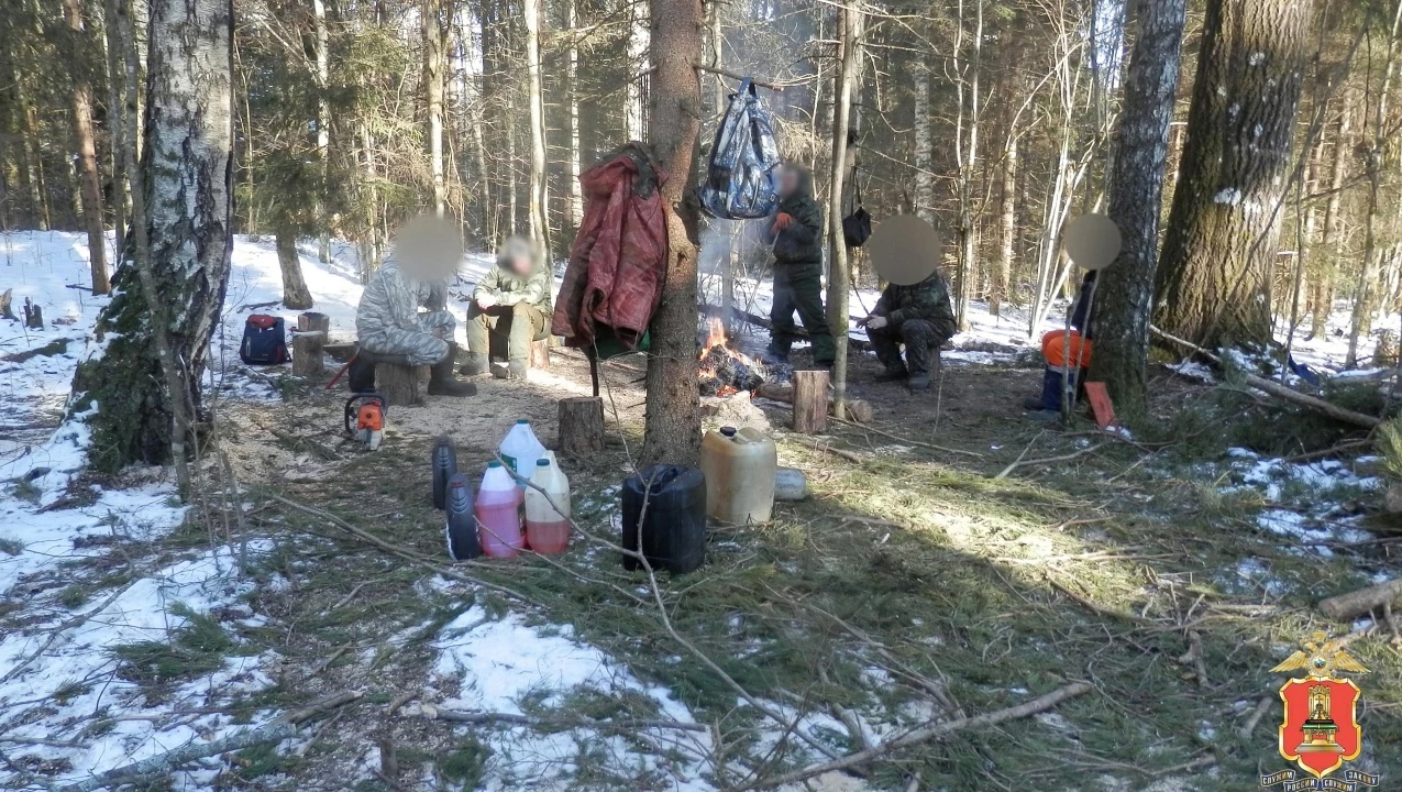 Суд не стал заключать под стражу «черных лесорубов» из Западной Двины - новости Афанасий