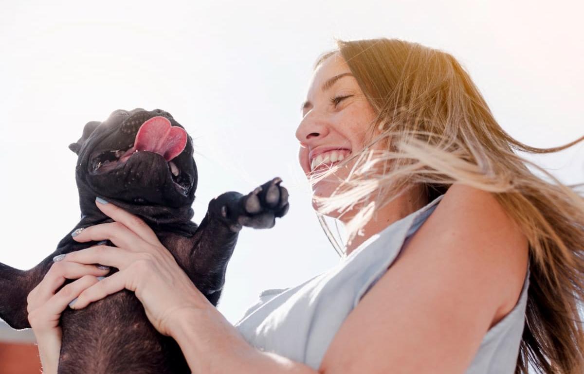 Зоозащитники рассказали подробности о первом в Тверской области петфрендли фестивале для животных и людей Изображение от freepik