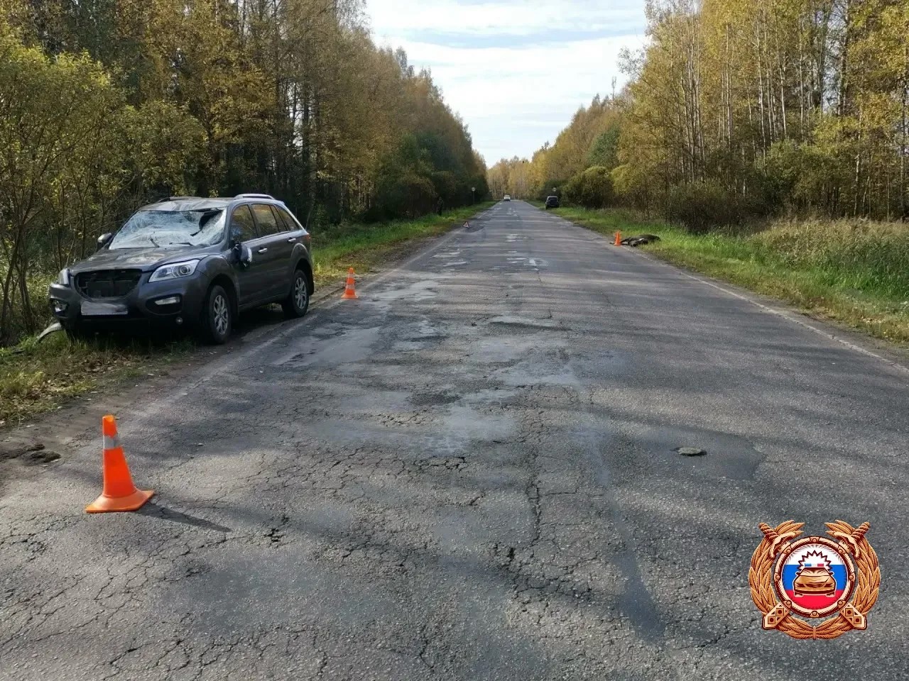 В ДТП с лосем в Тверской области пострадала женщина Фото: Управление Госавтоинспекции УМВД по Тверской области