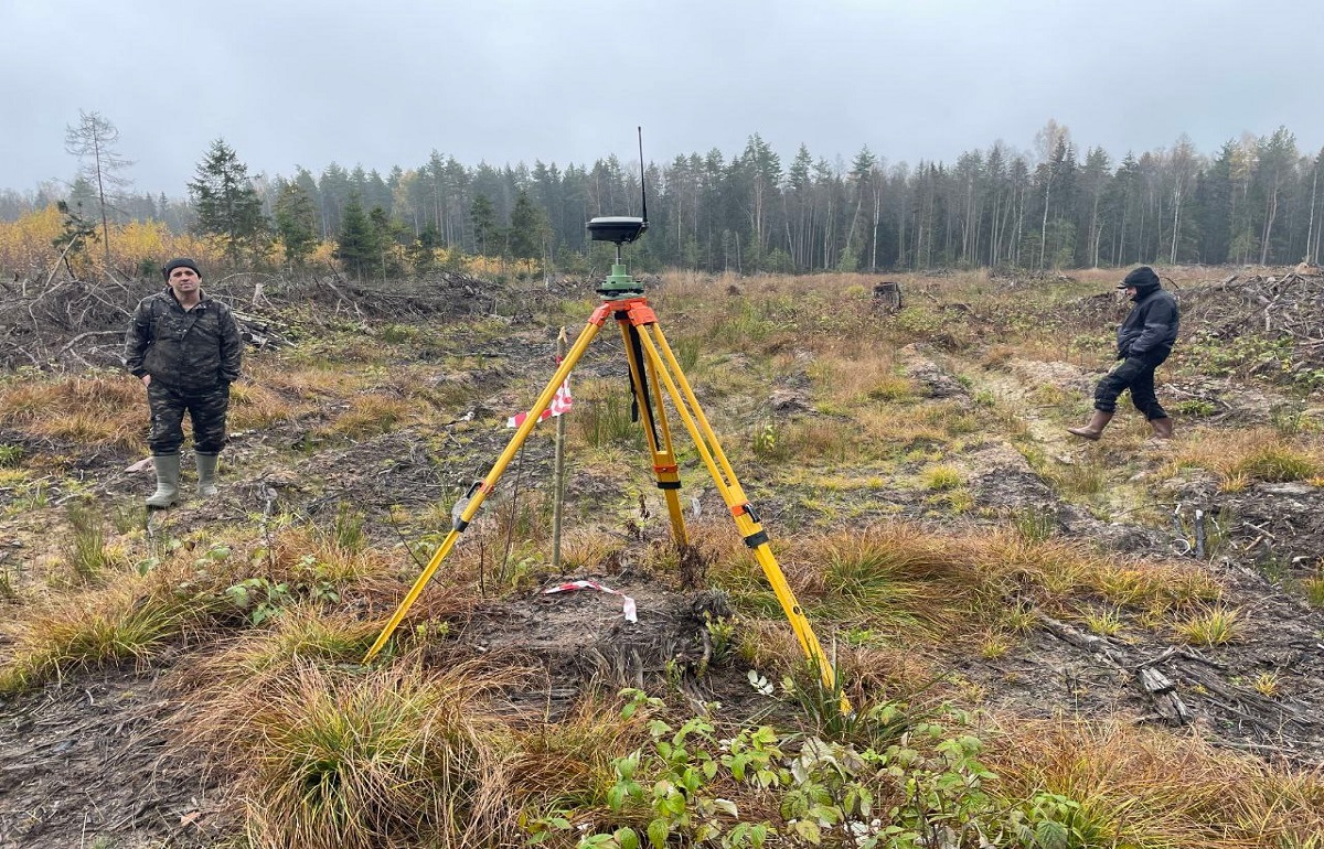 Арендатор в Рамешковском районе вырубил около 1 га «лишнего» леса Фото: Прокуратура Тверской области