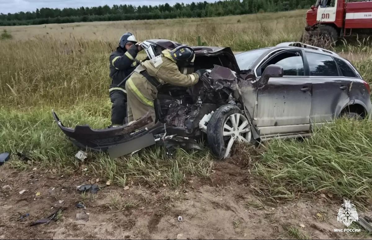 В лобовом столкновении в Тверской области погиб один человек, трое пострадали - новости Афанасий