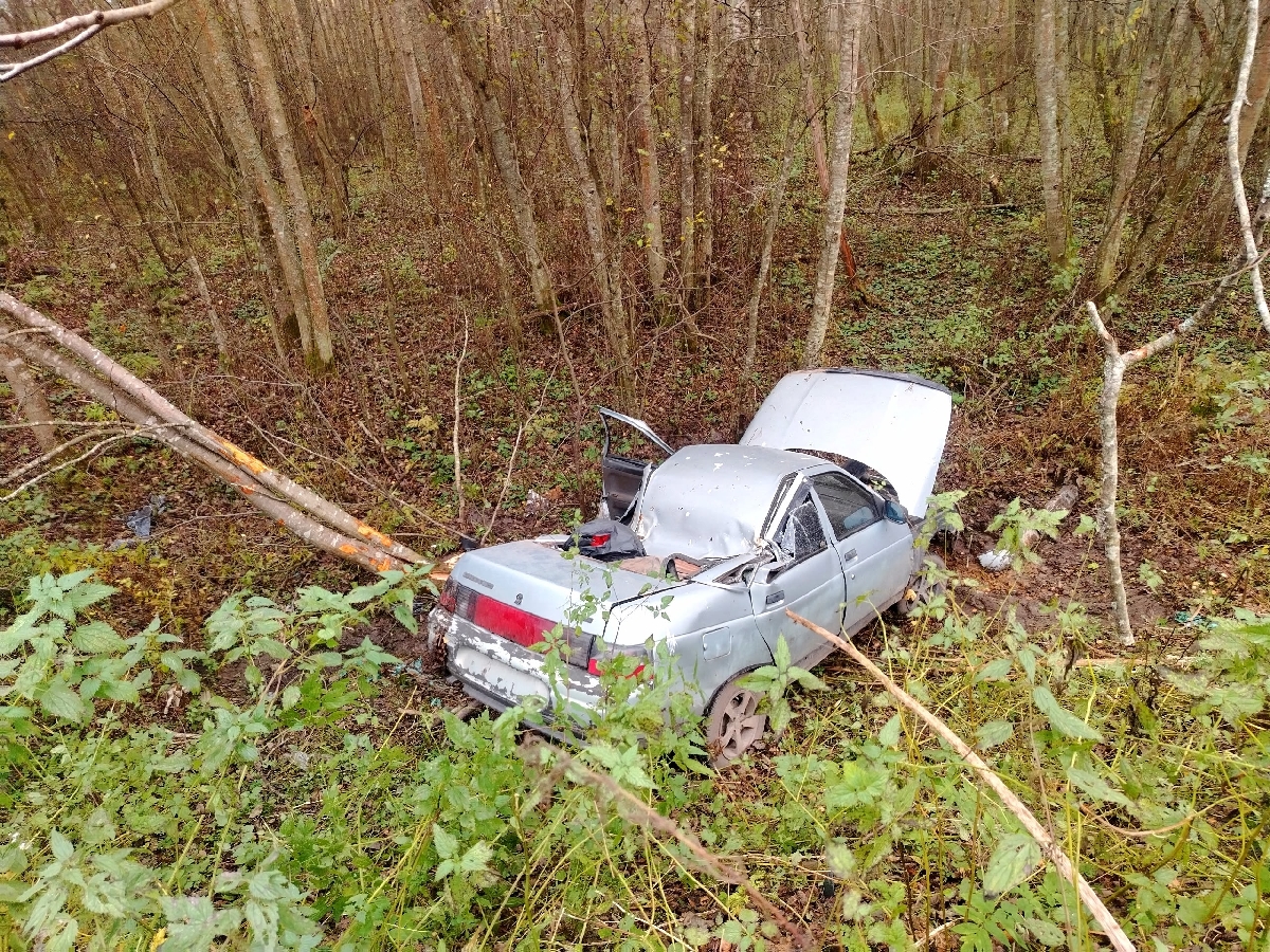 В ДТП под Ржевом пострадала девушка Фото: Другой Ржевский район