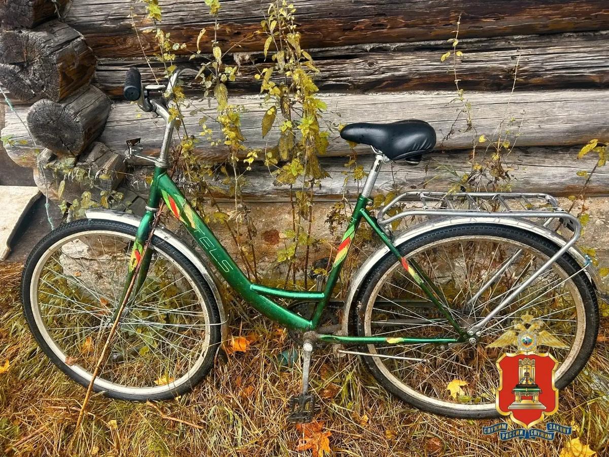 В Максатихе пьяный мужчина украл велосипед, чтобы добраться до дома Фото: УМВД Тверской области
