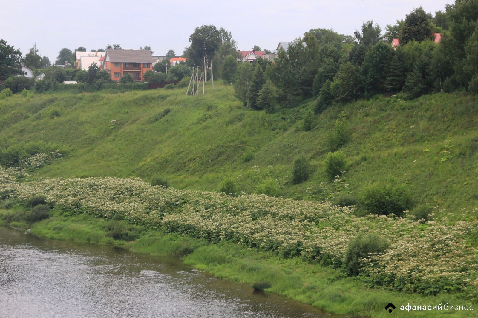 Землевладельцам напомнили о суровом наказании за бесхозяйственность - новости Афанасий