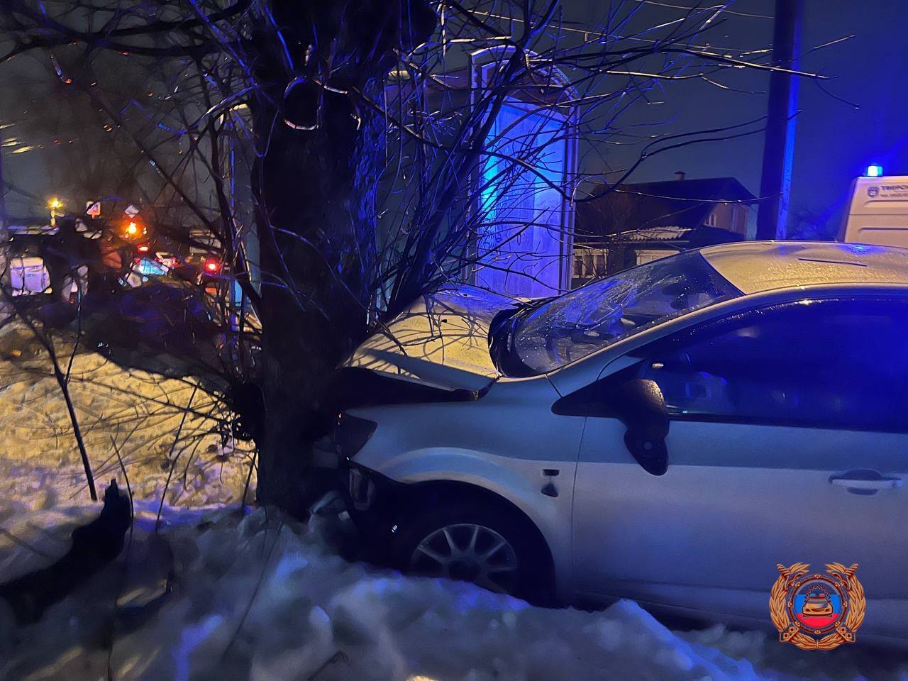 В Твери на улице Кольцевой легковушка вылетела с дороги в дерево Фото: Госавтоинспекция Тверской области